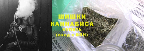 индика Бугульма
