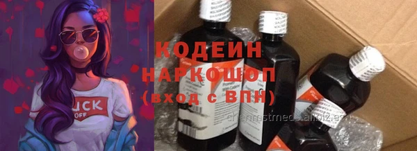 индика Бугульма