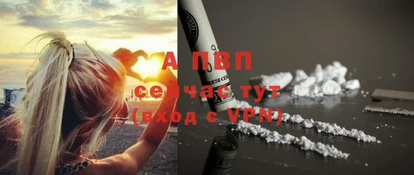 индика Бугульма