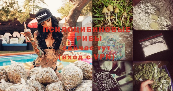 индика Бугульма