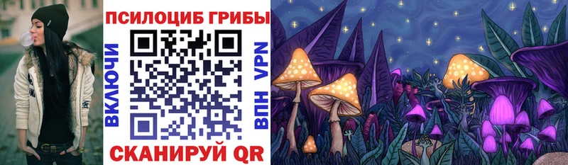хочу наркоту  Новосокольники  Псилоцибиновые грибы ЛСД 
